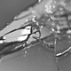 Image for article titled Shooting Challenge: Shattered Gallery 1